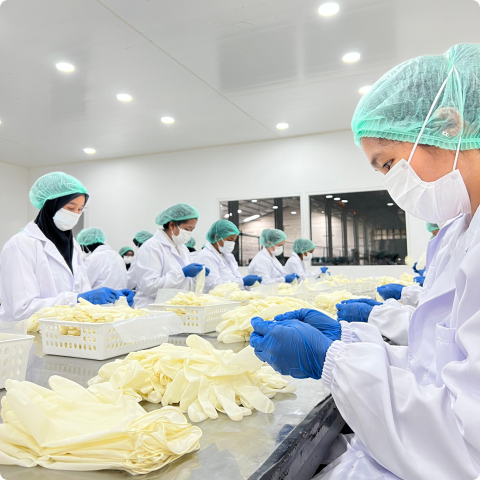 Property 1=Powder-free, Property 2=3